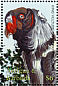 King Vulture Sarcoramphus papa  2001 Vanishing species of the Caribbean  MS