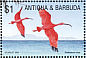 Scarlet Ibis Eudocimus ruber