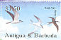 Sooty Tern Onychoprion fuscatus  2002 Birds Sheet