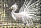 Snowy Egret Egretta thula  2002 Birds  MS