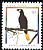 Montezuma Oropendola Psarocolius montezuma  2003 Bird definitives 