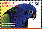 Blue-headed Parrot Pionus menstruus
