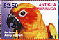 Sun Parakeet Aratinga solstitialis  2003 Birds Sheet