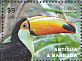 Toco Toucan Ramphastos toco  2013 Animals of South America  MS