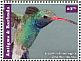 Broad-billed Hummingbird Cynanthus latirostris