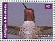 Anna's Hummingbird Calypte anna  2015 Hummingbirds Sheet