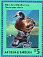 White-faced Whistling Duck Dendrocygna viduata  2015 Ducks Sheet