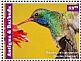 Broad-billed Hummingbird Cynanthus latirostris  2015 Hummingbirds Sheet