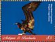 Magnificent Frigatebird Fregata magnificens  2018 Frigatebird Sheet