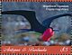 Magnificent Frigatebird Fregata magnificens  2018 Frigatebird Sheet