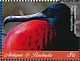 Magnificent Frigatebird Fregata magnificens  2018 Frigatebird Sheet