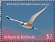 White-tailed Tropicbird Phaethon lepturus  2019 Seabirds Sheet