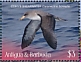 Cory's Shearwater Calonectris borealis  2019 Seabirds Sheet