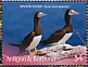 Brown Booby Sula leucogaster  2019 Seabirds Sheet