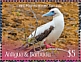Red-footed Booby Sula sula  2019 Seabirds Sheet