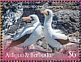 Masked Booby Sula dactylatra  2019 Seabirds Sheet