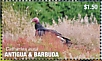 Turkey Vulture Cathartes aura  2020 Turkey Vultures Sheet