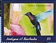 Purple-throated Carib Eulampis jugularis  2022 Birds Sheet