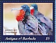 Magnificent Frigatebird Fregata magnificens  2022 Birds Sheet