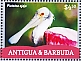 Roseate Spoonbill Platalea ajaja