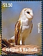 Western Barn Owl Tyto alba  2023 Barn Owl Sheet