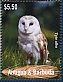 Antigua & Barbuda 2023 Barn Owl Sheet