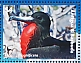 Magnificent Frigatebird Fregata magnificens
