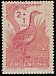 Huayco Tinamou Rhynchotus maculicollis  1960 Child welfare, birds 