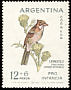 Rufous-collared Sparrow Zonotrichia capensis  1962 Child welfare, birds 