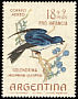 Chilean Swallow Tachycineta leucopyga