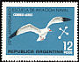 Ring-billed Gull Larus delawarensis
