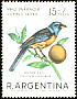 Blue-and-yellow Tanager Rauenia bonariensis