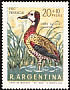 White-faced Whistling Duck Dendrocygna viduata  1969 Child welfare, birds 