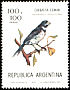 Double-collared Seedeater Sporophila caerulescens