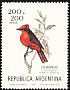 Scarlet Flycatcher Pyrocephalus rubinus