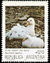 Southern Giant Petrel Macronectes giganteus