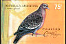 Picazuro Pigeon Patagioenas picazuro