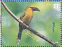 Saffron Toucanet Pteroglossus bailloni  2015 Toucans Sheet