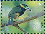 Spot-billed Toucanet Selenidera maculirostris  2015 Toucans Sheet