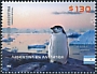 Emperor Penguin Aptenodytes forsteri