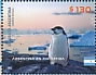 Emperor Penguin Aptenodytes forsteri