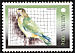 Brown-throated Parakeet Eupsittula pertinax