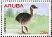 Common Ostrich Struthio camelus