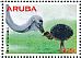 Common Ostrich Struthio camelus  2015 Ostrich 