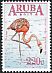 American Flamingo Phoenicopterus ruber  2017 Birds 