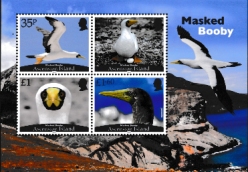 Click for enlargement