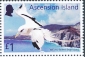 White-tailed Tropicbird Phaethon lepturus