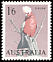 Galah Eolophus roseicapilla