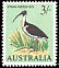 Straw-necked Ibis Threskiornis spinicollis  1965 Birds 
