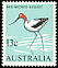 Red-necked Avocet Recurvirostra novaehollandiae  1966 Definitives 